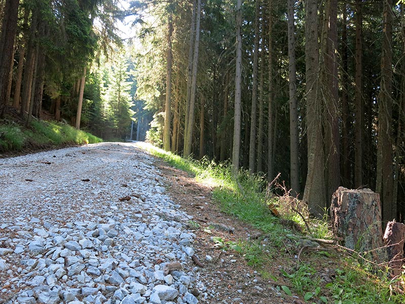 Rotenkogel